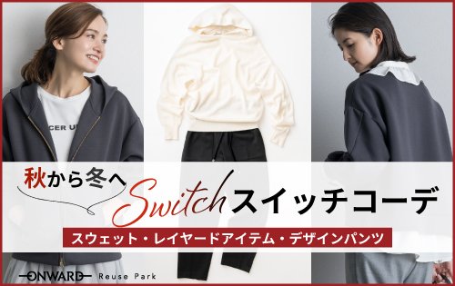 正スイッチコーデ500×315.jpg